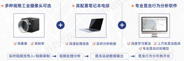 昆蟲行為分析系統(tǒng)